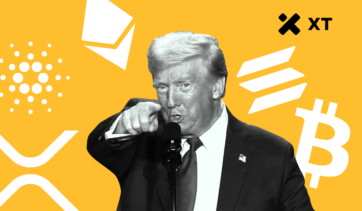 贸易战+ 加密货币，谁能笑到最后？ – 帮助中心