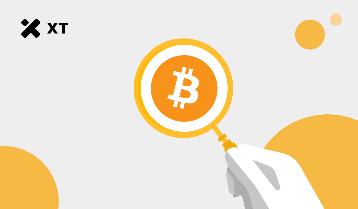 超越K线图：链上数据与宏观趋势如何驱动比特币增长– 帮助中心