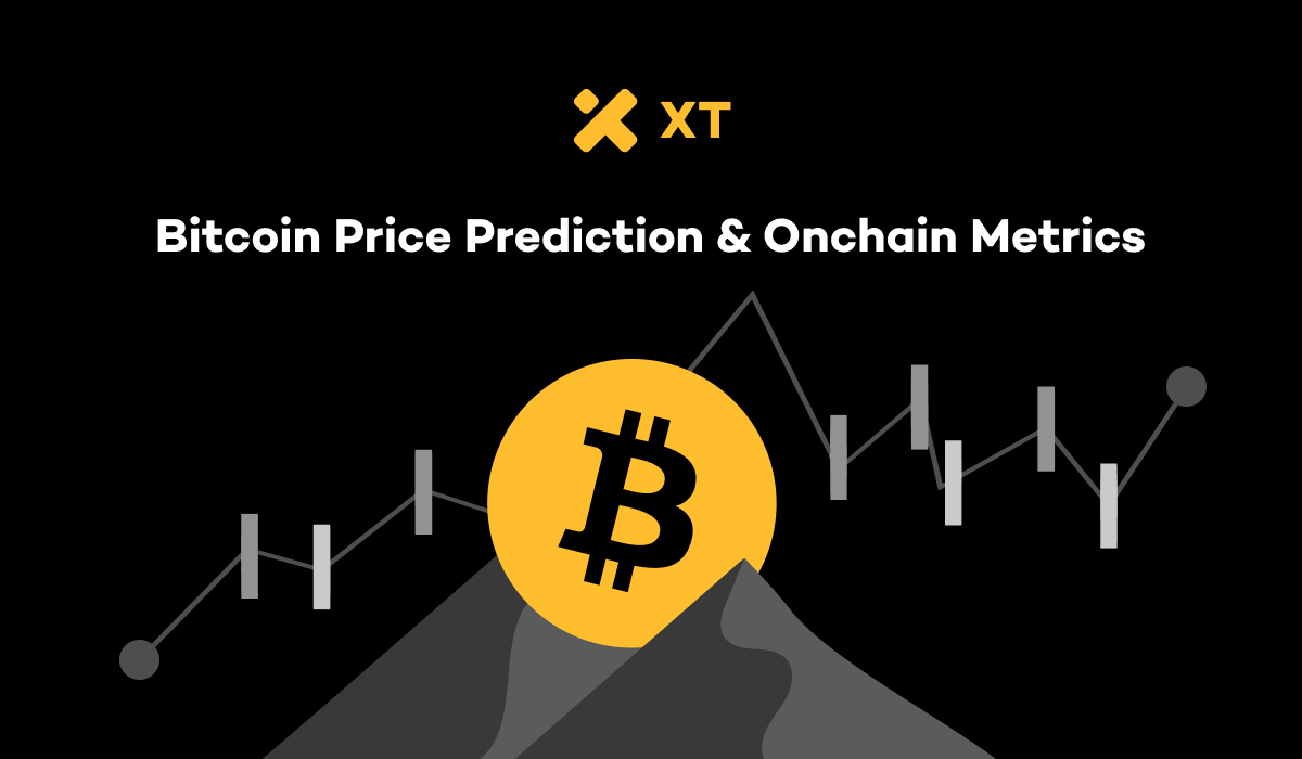 2025 比特币牛市密码：链上供需、交易活跃度与质押回报揭秘– 帮助中心
