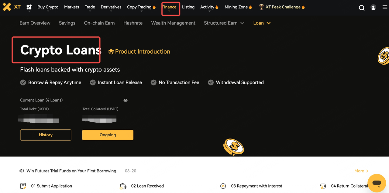 XT Loan Interest Voucher Instructions & User Guide – Help Center