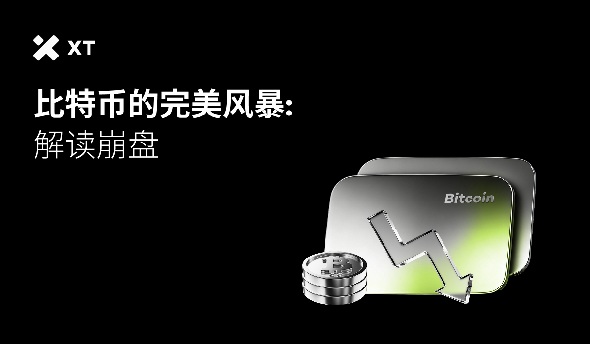 崩盤剖析：解構近期比特幣暴跌背後的力量