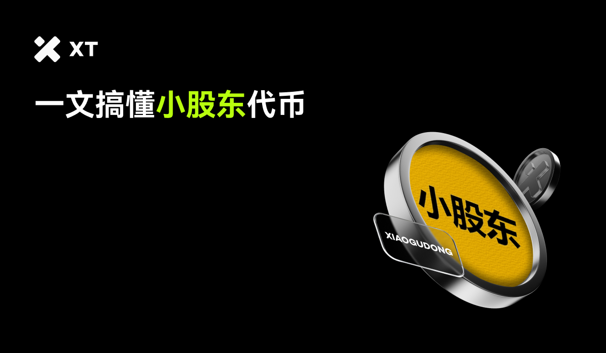什么是小股东(XIAOGUDONG)？为“散户股东”而生的BSC Meme币– 帮助中心